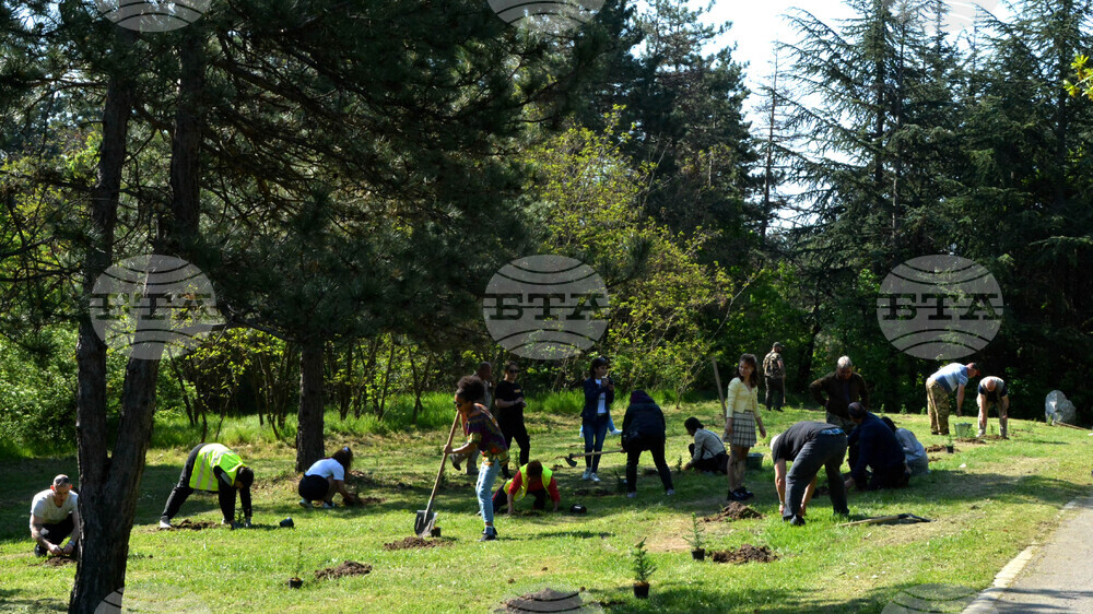 Хасково - алея "Южна пролет" - залесяване