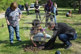 Хасково - алея "Южна пролет" - залесяване