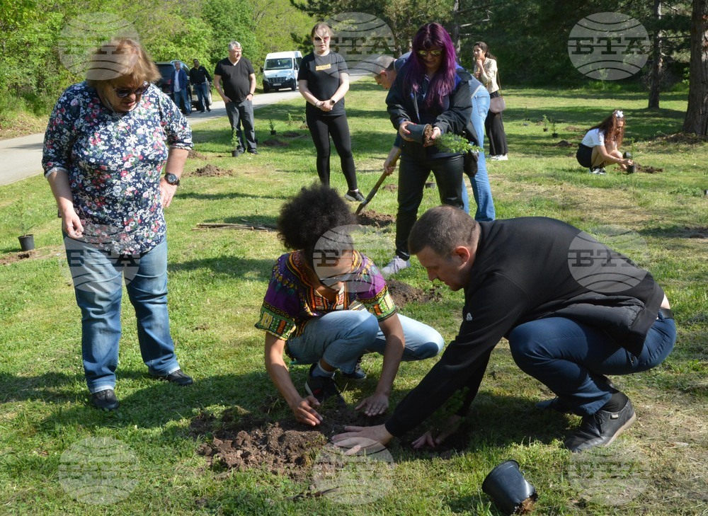 Хасково - алея "Южна пролет" - залесяване