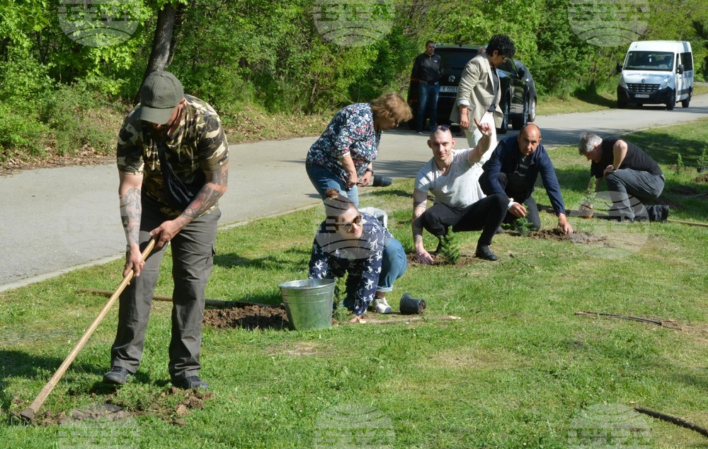 Хасково - алея "Южна пролет" - залесяване