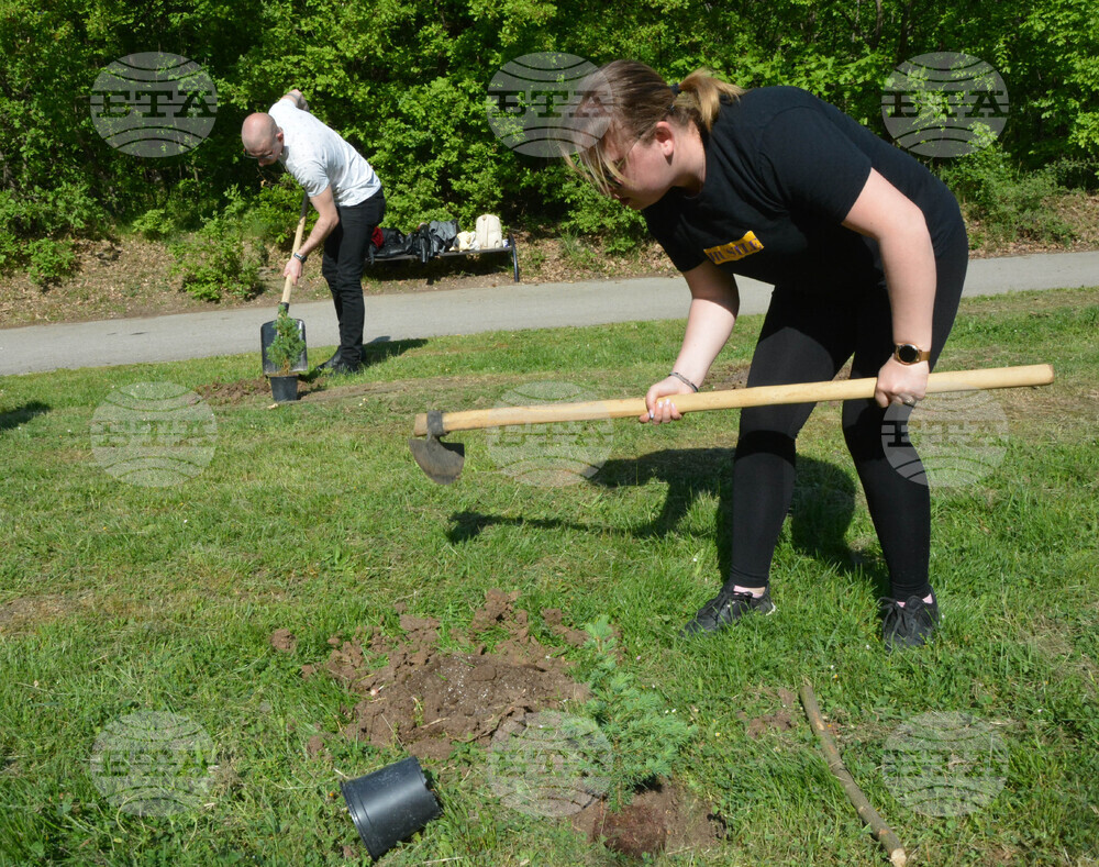 Хасково - алея "Южна пролет" - залесяване