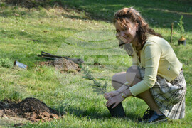 Хасково - алея "Южна пролет" - залесяване