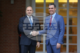 Испания - Румен Радев - Педро Санчес