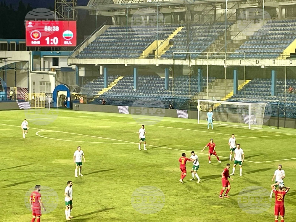 Stilyan Petrov, Dimitar Berbatov Lash Out at Bulgarian Football Union Leadership
