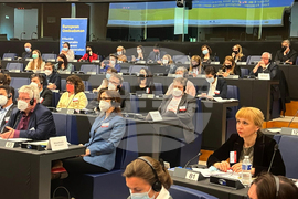 Страсбург - Диана Ковачева