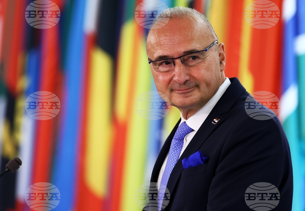 МВнР - Мария Габриел - Гордан Гърлич Радман - изявления