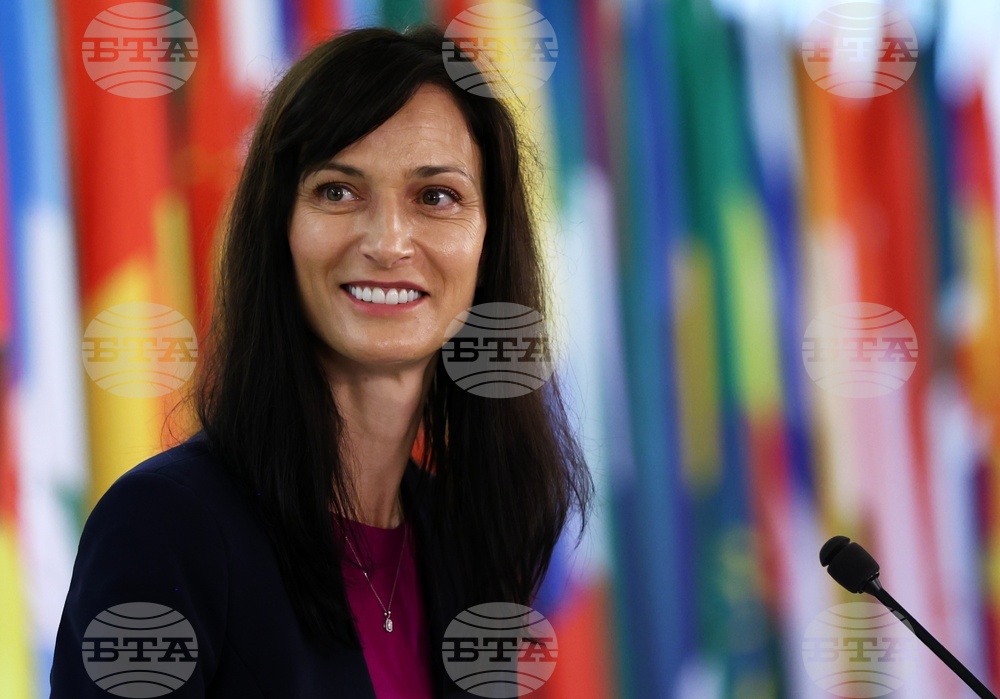 МВнР - Мария Габриел - Гордан Гърлич Радман - изявления