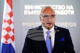 МВнР - Мария Габриел - Гордан Гърлич Радман - изявления