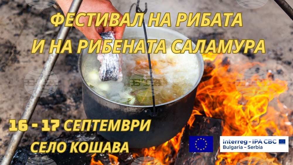 Фестивал на рибата и рибената саламура предстои във видинското село Кошава