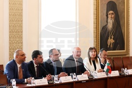 Народно събрание - Росен Желязков - Сахиба Гафарова - пленарни разговори