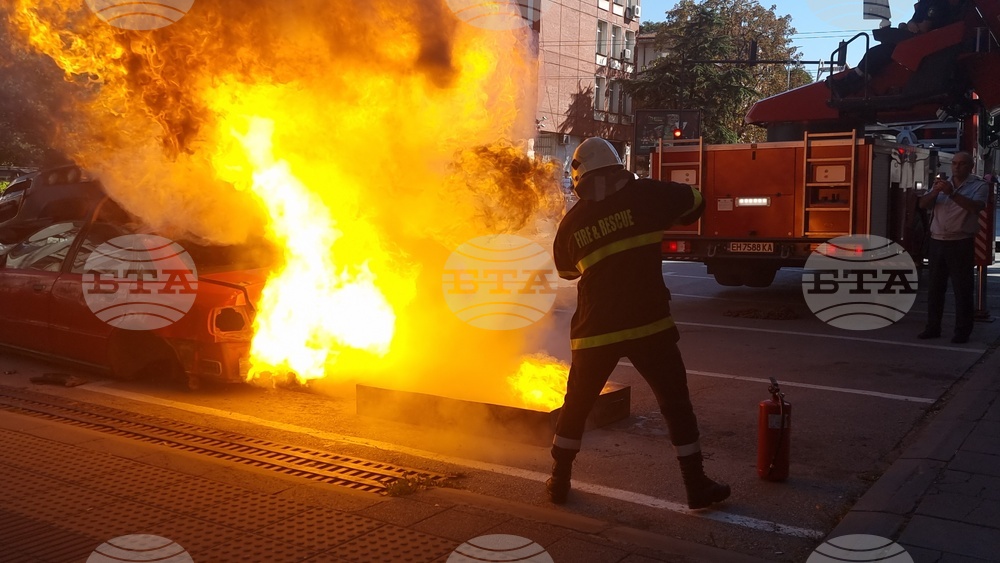 Плевен - пожарникари - демонстрация