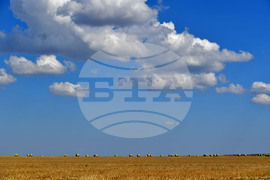 Завет - природа