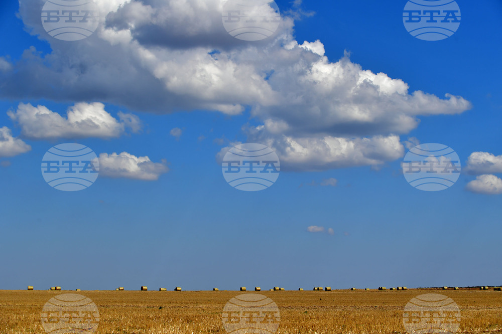 Завет - природа