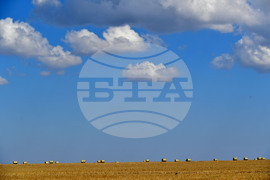 Завет - природа