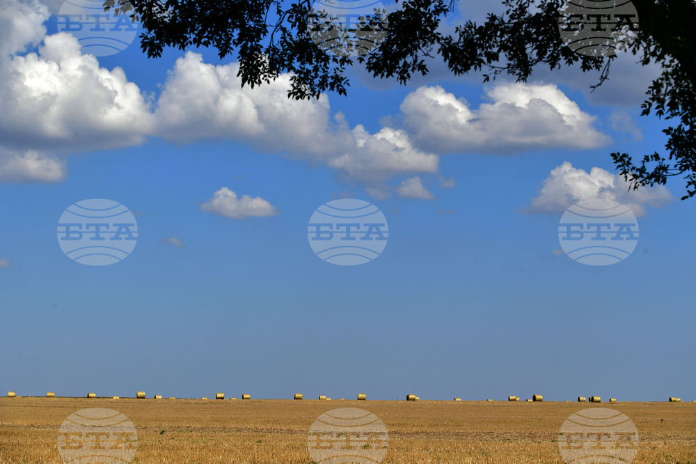 Завет - природа