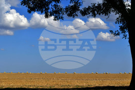 Завет - природа