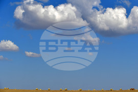 Завет - природа