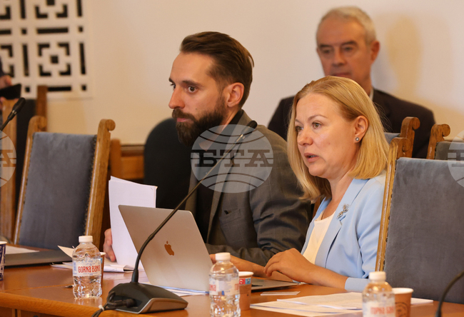 Предложените промени в Наказателния кодекс от ИТН са противоконституционни, смятат ПП-ДБ