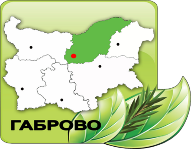 Служители на Северноцентрално държавно предприятие - Габрово са заловили бракониери, убили елен и кошута