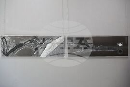 Бургас - Румен Нечев - "Елфенбайншварц" - изложба рисунки