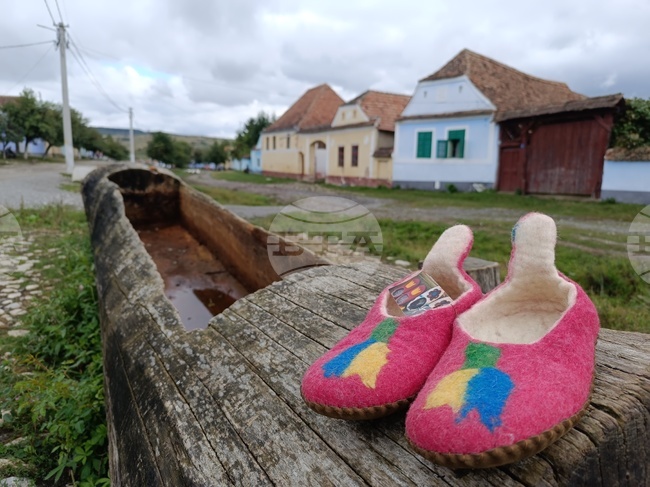 Румъния - Село Вискри - плетива