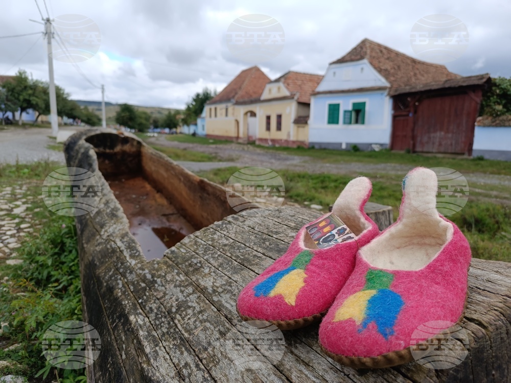Румъния - Село Вискри - плетива