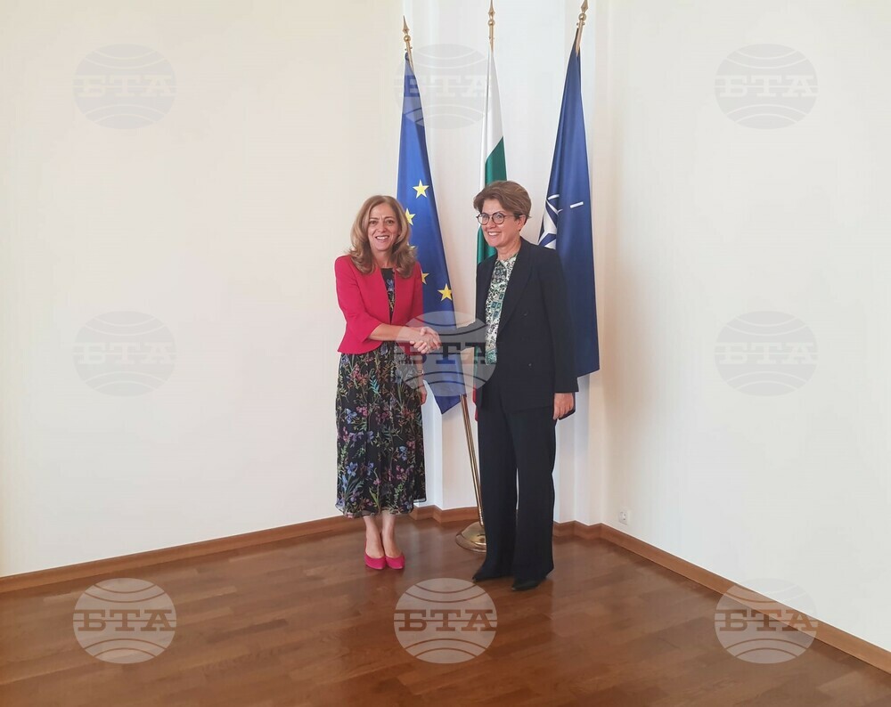 Deputy Foreign Minister Shekerletova Confers with Council of Europe Special Representative Kayacik