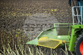 Исперих - жътва на слънчоглед