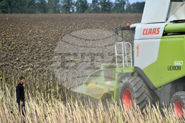 Исперих - жътва на слънчоглед