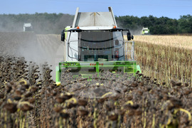 Исперих - жътва на слънчоглед