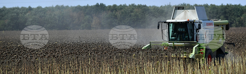 Исперих - жътва на слънчоглед