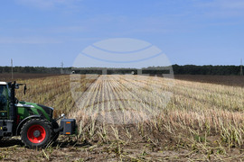 Исперих - жътва на слънчоглед