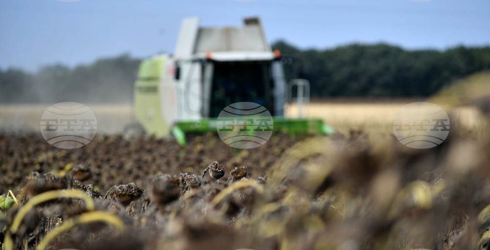 Исперих - жътва на слънчоглед