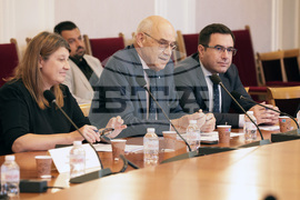 Парламент - Комисия по енергетика