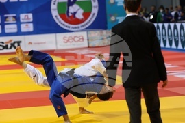 Европейско първенство - джудо