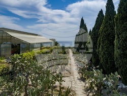 Снимка: Университетска ботаническа градина – Балчик