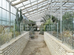 Снимка: Университетска ботаническа градина – Балчик