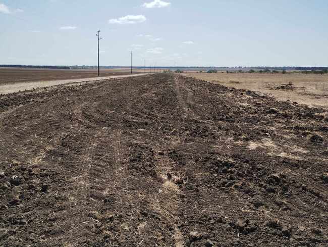 СИДП: Четири нови пояса ще бъдат залесени още тази година на територията на ДЛС-Балчик и ДГС-Генерал Тошево