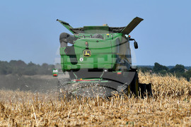 Село Вазово - жътва на царевица