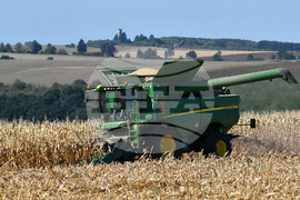 Село Вазово - жътва на царевица