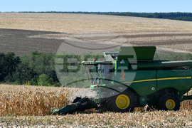 Село Вазово - жътва на царевица