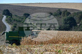 Село Вазово - жътва на царевица