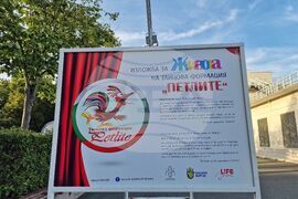 Бургас - танцова формация "Петлите" - изложба