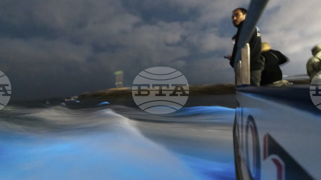 Светещите води край Тасмания се дължат на климатичните промени, а не на отпадъци от рибни ферми, смятат тасманийски учени