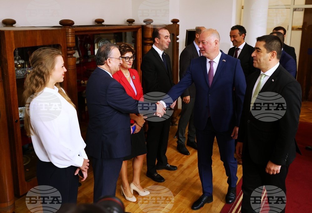 Грузия - Росен Желязков - Шалва Папуашвили - среща