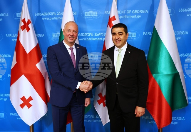  Грузия - Росен Желязков - Шалва Папуашвили - среща