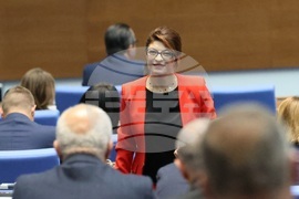 Парламент - парламентарен контрол