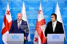 Грузия - Росен Желязков - Шалва Папуашвили - изявления