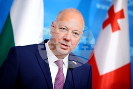 Грузия - Росен Желязков - Шалва Папуашвили - изявления