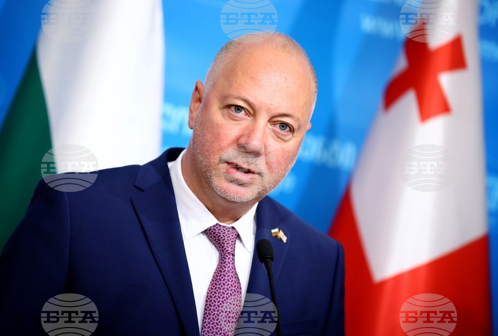 Грузия - Росен Желязков - Шалва Папуашвили - изявления